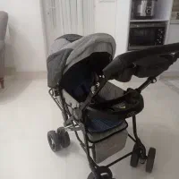 کالسکه مدل دلیجان معاوضه با مرغ و خروس|کالسکه و لوازم جانبی|مینودشت, |دیوار