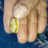 سنگ سلیمانی|جواهرات|اهواز, کوی علوی|دیوار