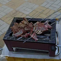 دو عدد کباب پز|اجاق گاز و لوازم برقی پختوپز|الیگودرز, |دیوار