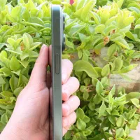 اپل iPhone 15 Pro Max با حافظهٔ ۲۵۶ گیگابایت|موبایل|شیراز, بعثت|دیوار