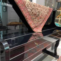 پیانو دیجیتال یاماها Yamaha P145|پیانو، کیبورد، آکاردئون|شیراز, فخرآباد (دروازه کازرون)|دیوار