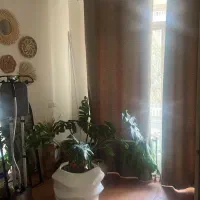 ۱۲۰ متر   دو خوابه   ( دو راهی یوسف آباد )|اجارهٔ آپارتمان|تهران, بهجت‌آباد|دیوار