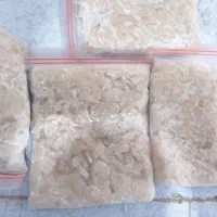 ماهی و میگو