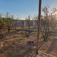 باغ.شاهرود، روستای مغان.جهت سرمایه گذاری|فروش زمین و ملک کلنگی|شاهرود, |دیوار