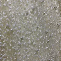 لباس مجلسی|لباس|هشتگرد, شهرک اداری|دیوار