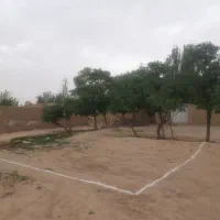 زمین مسکونی|فروش زمین و ملک کلنگی|تربت‌حیدریه, دیزقند|دیوار