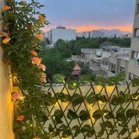 چمن مصنوعی گرین وال و اکاردئونی