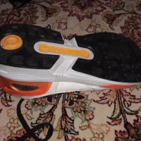 کفش زد ایکس|کیف، کفش، کمربند|کوهدشت, |دیوار