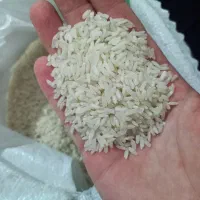 برنج هاشمی اقتصادی