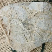 انواع سنگ|جواهرات|بروجن, |دیوار