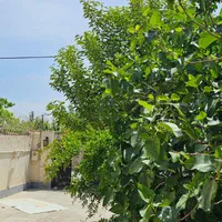 باغ ویلاسندتکبرگ کنتورآب برق گازشهری منطقه ویلایی|فروش خانه و ویلا|هشتگرد, شهرک راه آهن|دیوار