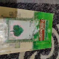 کتاب های انگلیسی و دیکشنری وعربی|کتاب و مجله آموزشی|اهواز, کمپلو جنوبی|دیوار