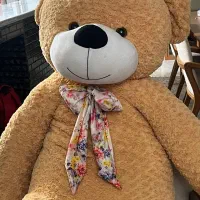 خرس بزرگ پولیشی