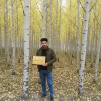 صنوبرقزوینی ریشه‌دار،فرصت بزرگ برای درآمد میلیاردی