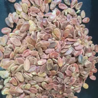 تخمه هندوانه ژاپنی