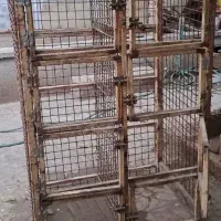 قفس کبوتر