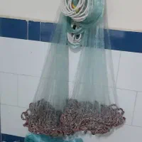 تورماهیگیری سلیه