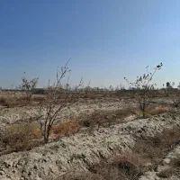 زمین کشاورزی|فروش زمین و ملک کلنگی|صباشهر, |دیوار