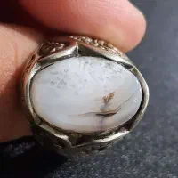 انگشتر شجر