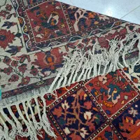 فرش دستبافت|فرش|پیر بکران, |دیوار