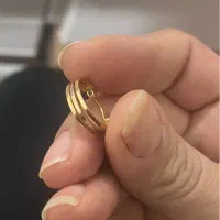 گوشواره گمشده