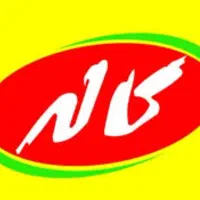 استخدام ویزیتور حضوری