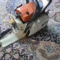 رویا گردان|خدمات باغبانی و درختکاری|میناب, |دیوار