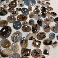 سنگ انگشتر شجر طبیعی