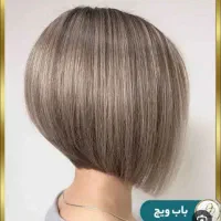 مدل رایگان جهت کوتاهی ژورنالی  پیکسی باب