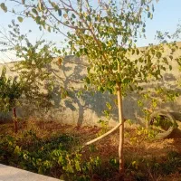 حاشیه-شاندیز-نقد-تهاتر-با-ویلا-سند-دار