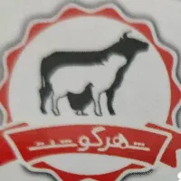 استخدام نیروی صندوقدار