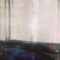 ماهی فایتر نر و ماده|ماهی|قوچان, |دیوار