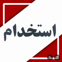 فروشنده حرفه ای