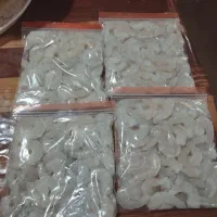 سوراغ و میگو