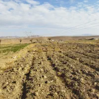 زمین در منطقه بهارستان صنوبر|فروش زمین و ملک کلنگی|تربتحیدریه, بالا ولایت|دیوار