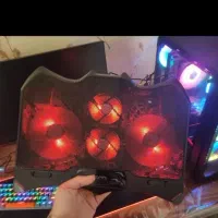 کولپد تسکو قوی