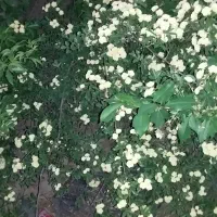راهنمایی