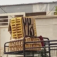 مرغ زنده درجه یک درشت 225