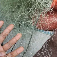 تور قبادی|ماهیگیری|بندر کنگان, |دیوار