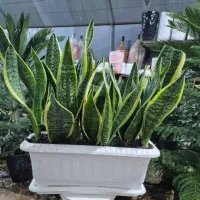 عرض ادب واحترام خدمات نظافت