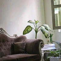 نظافتچی خانم