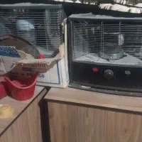 چراغ تیوست|بخاری، هیتر، شومینه|هامون, |دیوار