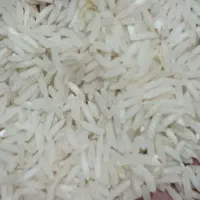 پخش برنج طارم