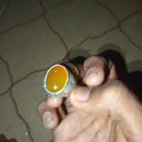 انگشتر شرف الشمس