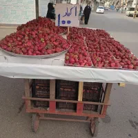 گاری سالم وتمیز|فروشگاه و مغازه|رشت, جماران|دیوار
