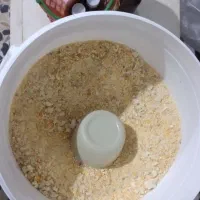 بلدرچین|حیوانات مزرعه|ویسیان, |دیوار