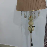 اباژور ایستاده نو سالم