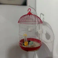 قفس با پایه