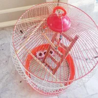 قفس پرنده