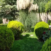 اجاره سالیانه باغ ویلای شهرکی در زیبادشت|اجارهٔ خانه و ویلا|محمدشهر, زیبادشت|دیوار